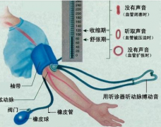 <b>购买腕式臂式手指式电子血压计哪款好?</b>