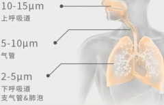 最新款家用雾化器选哪个品牌
